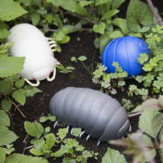 バンダイ、ダンゴムシの構造を徹底研究し丸まる体を再現した世界初のカプセルトイ『だんごむし』を本日より順次発売! 早くも第2弾の発売が決定!