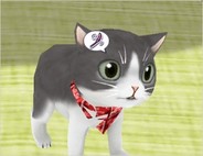 のんき『もふもふにゃんこ』の会員数が3万人を突破 開始10日間で