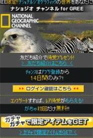 世界最高峰のドキュメンタリーを「GREE」で鑑賞しよう-アドウェイズ、「ナショジオ チャンネル for GREE」の配信開始