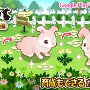 グリー、『ハコニワ ふしぎな手紙とどうぶつ島』でGoogle Play 2周年記念キャンペーンを開始
