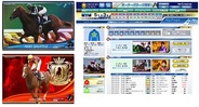 バンダイ、リアルカードを用いたオンラインゲーム「オーナーズホース」を提供中…騎手も実名・実写で登場