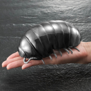 話題騒然のあの「だんごむし」がメタリック仕様で登場! バンダイ、 『メタリックだんごむし3個セット』 を受注開始!