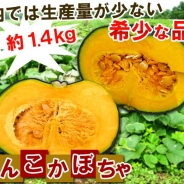 サクセスとエルディ、『畑っぴ~里山くらし~』で期間限定イベントで希少な「がんこかぼちゃ」が登場