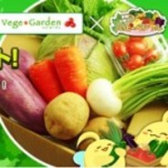 NHN Japan、ソーシャル農園SLG『ハッピーベジフル』で採れたて野菜が当たるキャンペーンを実施