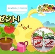 NHN Japan、『ハッピーベジフル』で「サントリー本気野菜 トマト苗セット」のプレゼントキャンペーンを実施中