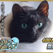 コロプラ、『クイズRPG 魔法使いと黒猫のウィズ』が国内累計400万DL達成! TVCMでDL数が急増