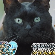 コロプラの『クイズRPG 魔法使いと黒猫のウィズ』が累計600万DL突破! 500万DLからわずか8日で【追記あり】