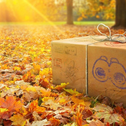 Nianticとポケモン、『ポケモンGO』で11月のイベントを一挙公開! 「大発見」でトゲチック、「レイドボス」にダークライ登場など