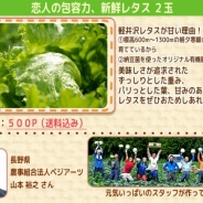 サクセスとエルディ、『畑っぴ~里山くらし~』にて期間限定イベント「1week お疲れサマーセール!」を開始。産地直送のレタスを入手するチャンス