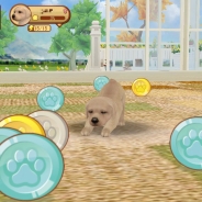 ガマニア、わんこ育成シミュレーション『てのひらワンコ』でゲーム内で手に入るコインや経験値を大幅に増加したアップデートを実施