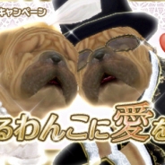 ガマニア、わんこ育成シミュレーション『てのひらワンコ』で「ジューンブライドキャンペーン」を開催。この機会に想いを寄せるわんこにプロポーズ