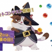 King、『バブルウィッチ3』のボス猫「ウィルバー」のプロモ企画として猫のフォトコンテストを公式SNS上で開催!
