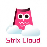 ソフトギア、オンラインゲーム開発向けサーバソリューション「Strix Cloud」…簡易なゲームサーバ構築と大量メッセージの高速処理を両立するクラウドサービス