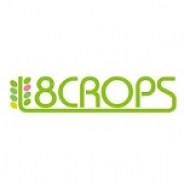 エイトクロップス、スマホアプリ向けCPI広告ネットワーク「adcrops」で広告配信メディエーションツール「8ball」を提供開始