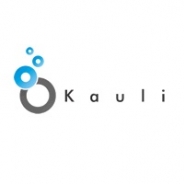 ネット広告のKauli、2014年1月期の純利益は3337万円…SSP「Kauli」を提供