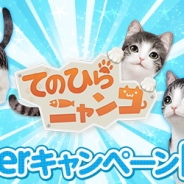 エイジ、『てのひらニャンコ』で公式Twitterのフォロワー数によるアイテムプレゼントキャンペーンを実施