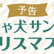 アムタス、「めちゃコミ」初の単独リアルイベント「めちゃ犬サンタ」を12月21日~24日の4日間開催!
