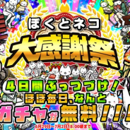 イグニッション・エム、『ぼくとネコ』で「ぼくとネコ 大感謝祭」を6月29日より開催