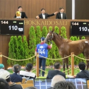 ドワンゴ、「リアルダービースタリオン」で即戦力の競走馬として2歳馬の「オリミツキネン」を購入…年内のレースデビューを目指す