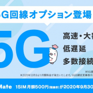LogicLinks、MVNOサービス「LinksMate」で5G通信が利用可能となる「5G回線オプション」の提供を開始