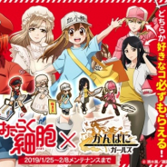 DMM GAMES、『かんぱに☆ガールズ』で『はたらく細胞』コラボイベント前夜祭を開催 「赤血球」「マクロファージ」などが社員として登場!