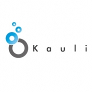 VOYAGE GROUP、SSP「Kauli」を運営するKauliを子会社化 国内SSP市場で売上シェアの圧倒的ナンバーワンを目指す!