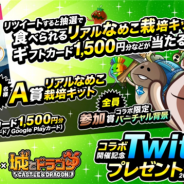 アソビズム、『城とドラゴン』が『おさわり探偵 なめこ栽培キット』コラボ復刻開催を記念して「Twitterプレゼントキャンペーン」を実施