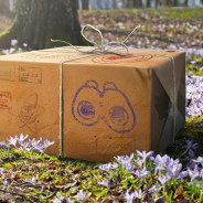 Nianticとポケモン、『ポケモンGO』で4月のイベントを一挙公開! 「シャドウサンダー」を従えるサカキ、ランドロスがレイドに登場