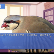 Devolver Digital、『Hatoful Boyfriend(はーとふる彼氏)』iOS版の配信を開始 イケ鳩達との恋愛を楽しもう!
