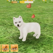 ガマニア、わんこ育成シミュレーション『てのひらワンコ』にて60万ダウンロード突破記念キャンペーンを開催