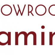 SHOWROOM、配信アプリ「SHOWROOM Gaming」をリリース ゲーム実況が誰でも簡単に