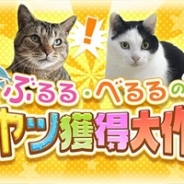 360Channel、『ぶるる・べるるのオヤツ獲得大作戦』を公開 2匹のネコがオヤツ欲しさに呼び鈴やギターを一生懸命に鳴らす