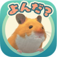 サクセス、ハムスター飼育アプリ『なまはむ』の正式サービスを開始! 3Dグラフィックを使ったリアルなハムスターとの生活を楽しめる