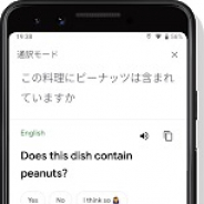 Google、スマホ向けのリアルタイム翻訳機能「通訳モード」を提供開始