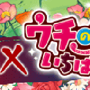 スクエニとヴァンガード、『戦国やらいでか -乱舞伝-』で『ウチの姫さまがいちばんカワイイ』コラボキャンペーンを開催!