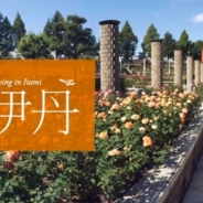 伊丹市ってどんなところ? 360Channelが、伊丹市の”住みやすさ“を体感できるVR動画を配信開始…飛行機の撮影スポット体験なども