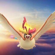 Nianticとポケモン、『ポケモンGO』で「メガピジョット」が登場する「メガレイド」を9月19日の早朝より開始!