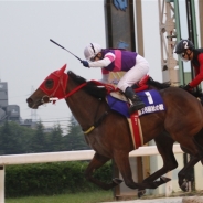 ドワンゴ、「ニコニコ競馬チャンネル」で名古屋競馬場と佐賀競馬の全レースを生中継