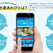 ファインシード、スマホ上で本物のあわびオーナーになれる「こっそり水産あわび」が販売25日で完売 養殖用水槽を増設して追加オーナーを募集へ