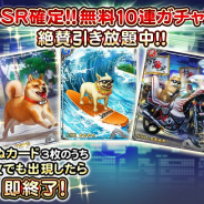 サムザップ、『戦国炎舞 -KIZNA-』で「いぬカードが出るまで引き放題!SSR 確定無料 10 連ガチャ」を実施!