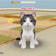 エイジ、にゃんこ育成シミュレーションアプリ『てのひらニャンコ』を6月に配信へ 『てのひらワンコ』の姉妹作 近日、事前登録を開始予定