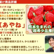 サクセスとエルディ、『畑っぴ~里山くらし~』で抽選で希少いちご“紅あやね”がプレゼントされるイベントを開催
