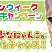 エイジ、にゃんこ育成シミュレーションアプリ『てのひらニャンコ』で超レアなにゃんこが当たるGWスペシャルキャンペーンを開始