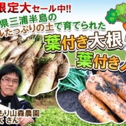 サクセスとエルディ、『畑っぴ~里山くらし~』で交換作物に「葉付き大根」「葉付き人参」が登場。期間限定大セール中&イベント開催
