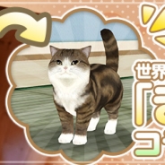 エイジ、6月配信予定のにゃんこ育成シミュレーションアプリ『てのひらニャンコ』で世界的大人気にゃんこ「まる」とのコラボが決定