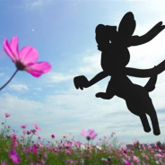 『ポケモンGO』にまもなく登場予定のポケモンのシルエットが公開!