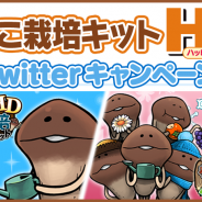 ビーワークス、『なめこ栽培キット HD』と『なめこ栽培キットSeasons HD』でTwitter連動キャンペーンを実施 Amazonギフト券やリアルなめこ栽培キットが当たる!