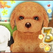 エイジ、『てのひらワンコ』でサービス開始3周年を記念したプレゼントやキャンペーンを開始 記念わんこ「アオトくん」も登場
