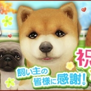 エイジ、『てのひらワンコ』でサービス開始2周年を記念したキャンペーンを開催 2周年限定わんこ「神ワン・不知火」「モモコちゃん」も登場