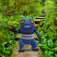 Nianticとポケモン、『ポケモンGO』で「エイパム」「グレッグル」「チョロネコ」が野生で出現!